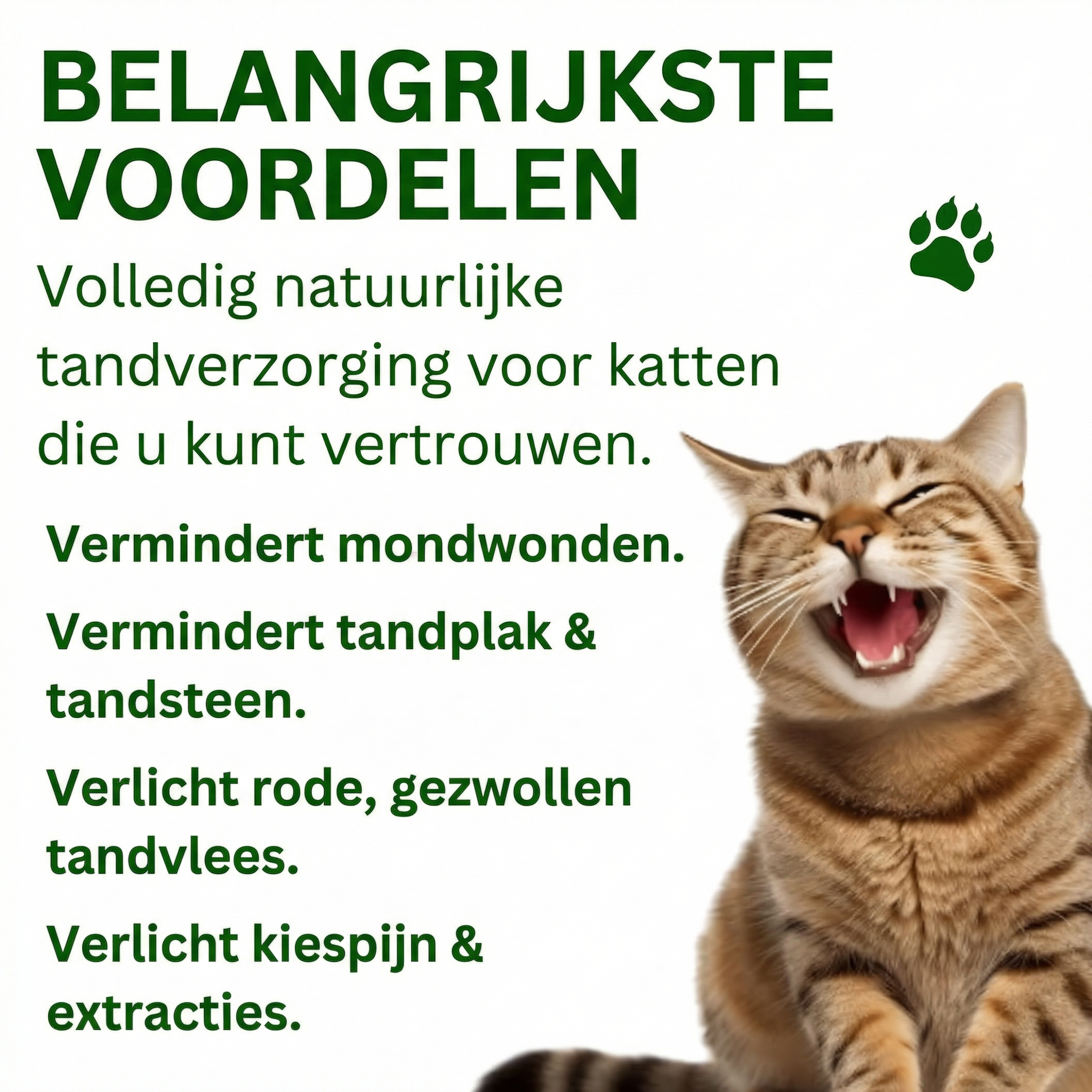 Pootjes Paradijs™ - Dental Powder