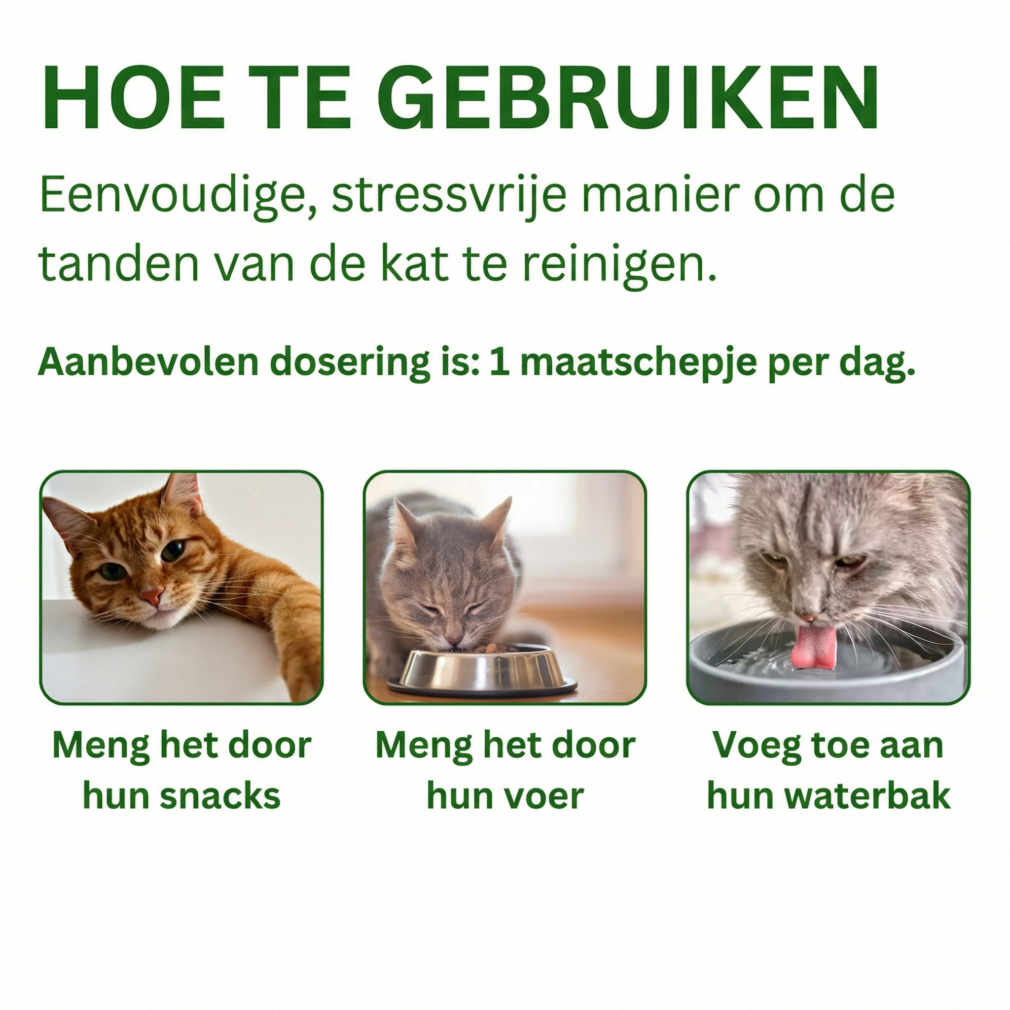 Pootjes Paradijs™ - Dental Powder